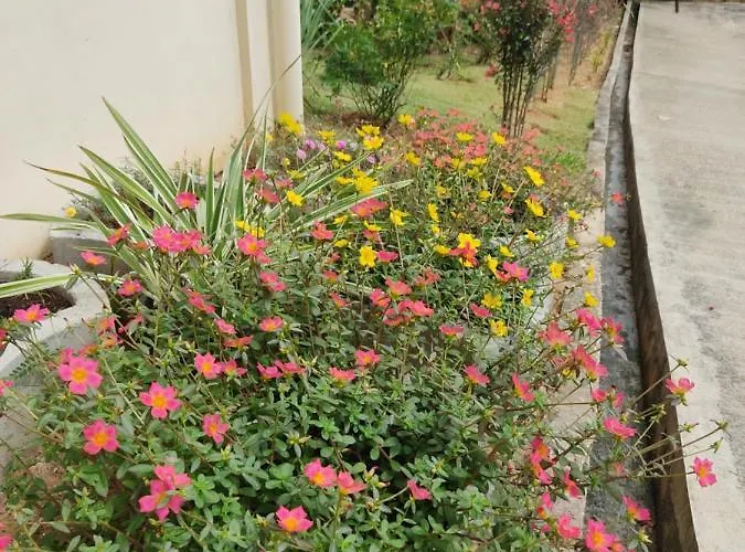 Apartment Kanasuk Self Catering
