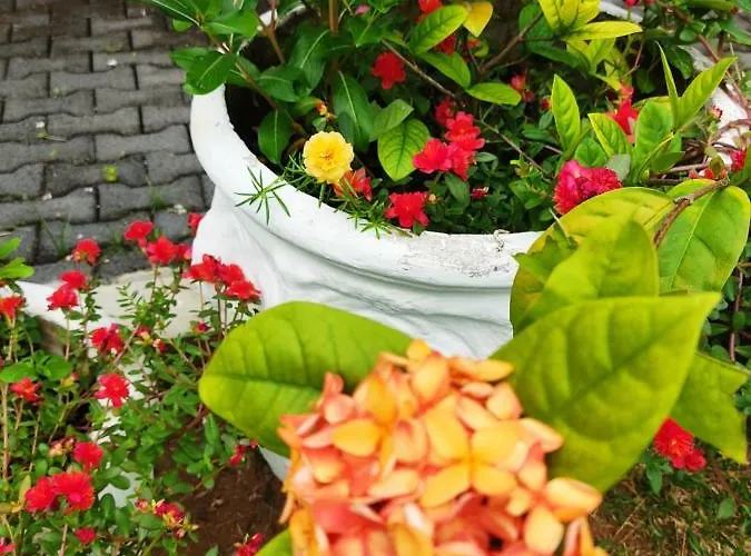 Kanasuk Self Catering Baie Lazare (Mahe)