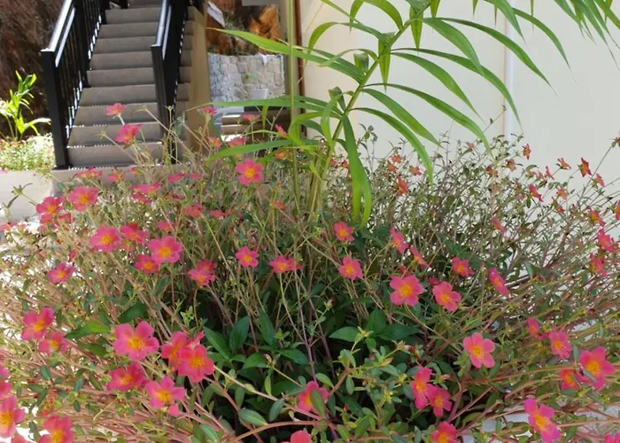 Kanasuk Self Catering Apartment Baie Lazare (Mahe)